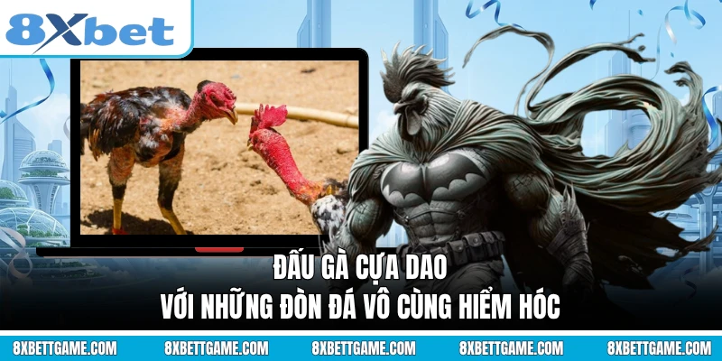 Đấu gà cựa dao với những đòn đá vô cùng hiểm hóc